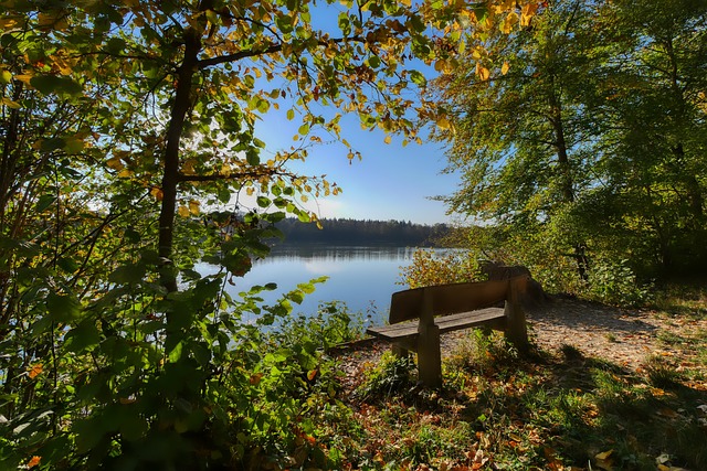 常常是依靠 常常是依靠