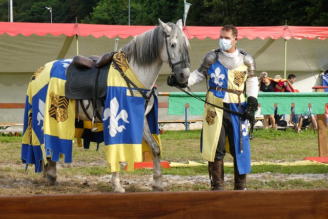 的整体实力 的整体实力