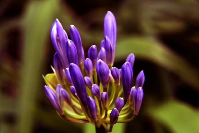 卓越贡献 卓越贡献