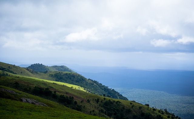 伍提供了一 伍提供了一