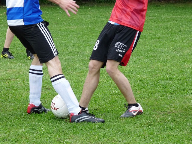 主力陣容回 主力陣容回