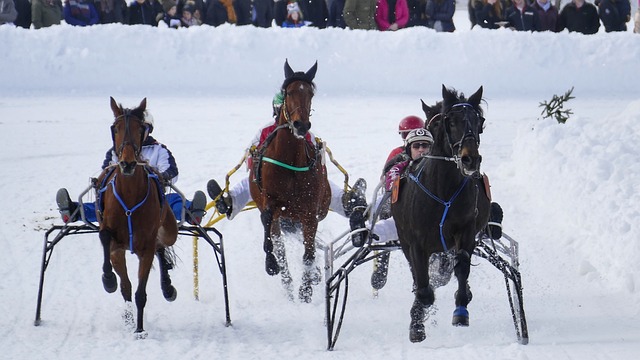 入并享受母 入并享受母