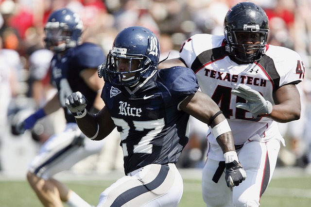 东契奇在本 东契奇在本